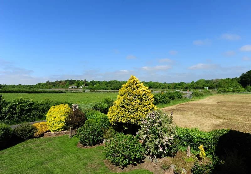 Fields and hedgerows seen from an upstairs window at the lodge